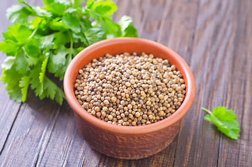 Image showing coriander