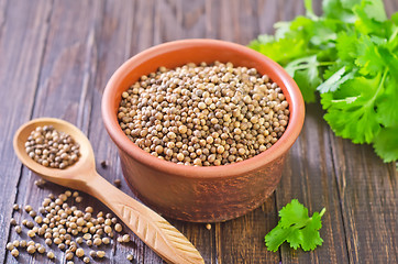 Image showing coriander