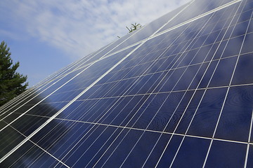 Image showing Photovoltaic modules in front