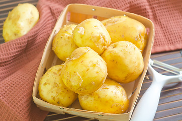 Image showing potato