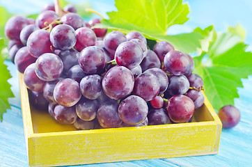 Image showing grape