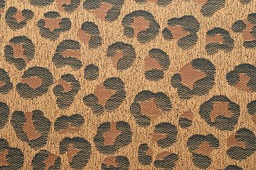 Image showing Leopard pattern