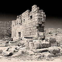 Image showing  in  perge old construction asia turkey the column  and the roma