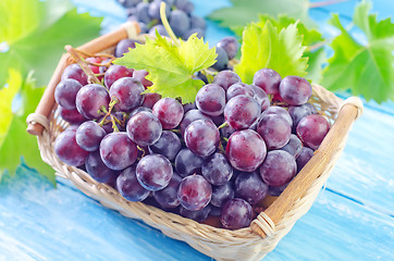 Image showing grape