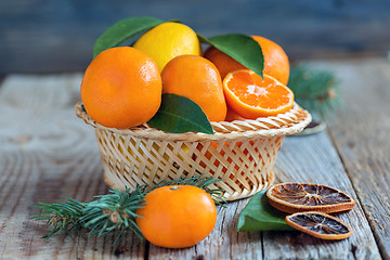 Image showing Basket with citrus and spruce branches.