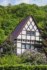 Image showing House on the Hillside
