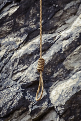 Image showing Noose