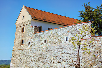 Image showing The Defencive Wall