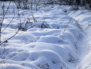 Image showing Snowbound winter meadow