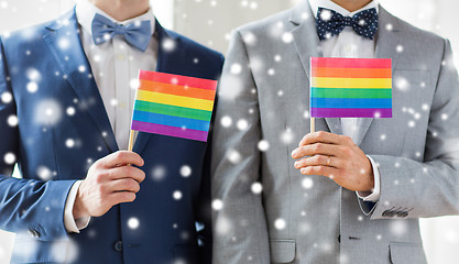 Image showing close up of male gay couple holding rainbow flags