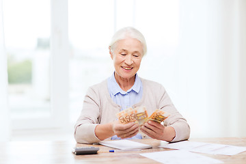 Image showing senior woman with money and papers at home