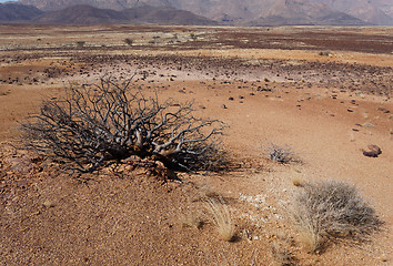 Image showing fantrastic Namibia desert landscape