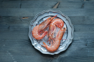 Image showing Fresh prawns lying on a bed of ice