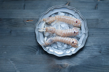 Image showing Cobs fresh sea lying on a bed of ice