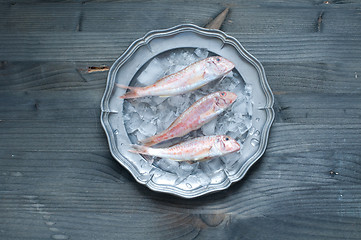 Image showing 
Fresh mullet lying on a bed of ice