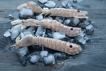 Image showing 
Fresh mullet lying on a bed of ice