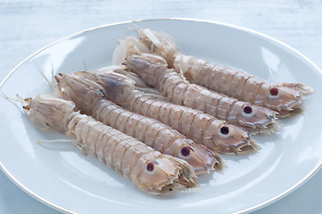 Image showing Cobs fresh sea lying on a bed of ice