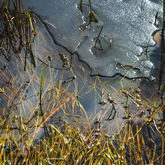Image showing Melting ice on a pond in spring