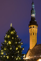 Image showing Christmas tree and tower of the town hall in Tallinn