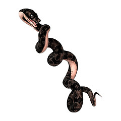 Image showing Cottonmouth Snake on White