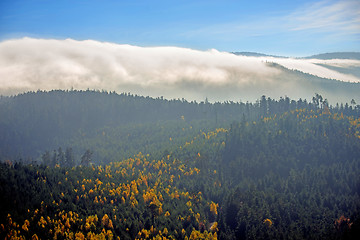 Image showing View to the atumnal painted forest of the Vosges, Alsace, France