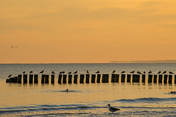 Image showing Sunrise over the Baltic Sea with groynes