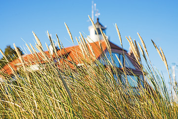 Image showing beach grass with old lighthouse