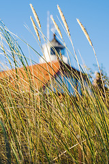 Image showing beach grass with old lighthouse