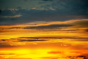 Image showing Sky during sunrise