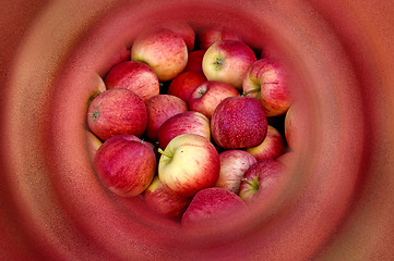 Image showing apples in focus