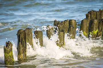 Image showing Baltic Sea with groynes and surf