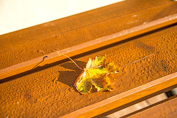 Image showing autumnal painted leaf on bench