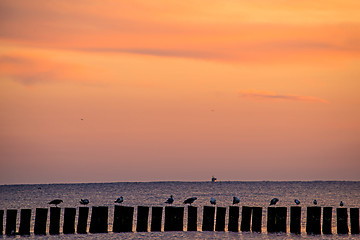 Image showing Sunrise over the Baltic Sea with groynes