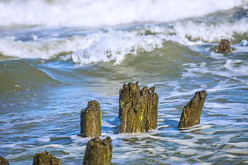 Image showing Baltic Sea with groynes and surf