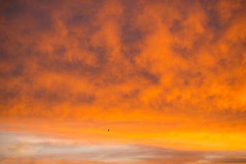 Image showing sky with red clouds during sunrise