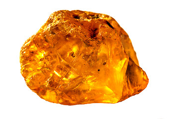 Image showing Amber