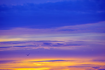 Image showing Sky during sunrise