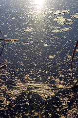 Image showing Water surface in back light