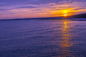 Image showing Sunrise over the Baltic Sea with groynes