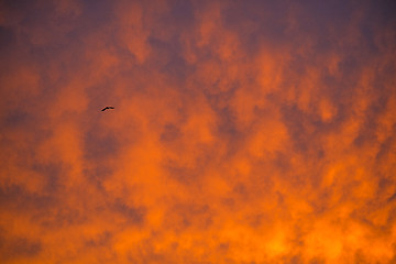 Image showing sky with red clouds during sunrise