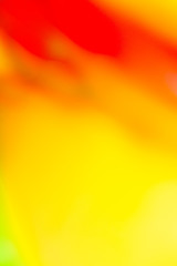 Image showing Background of blurred colors