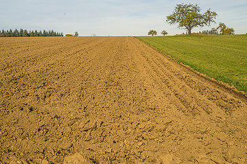 Image showing acre with fine crumbs