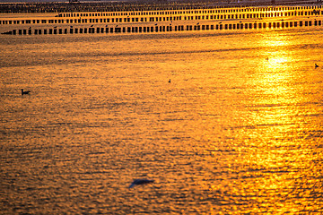 Image showing Sunrise over the Baltic Sea with groynes