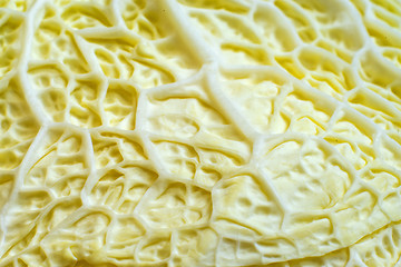 Image showing white kale, closeup of the vegetable