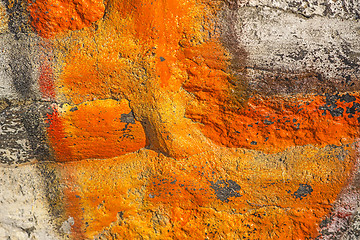Image showing old wall painted with orange color