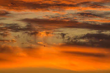 Image showing sky with red clouds during sunrise