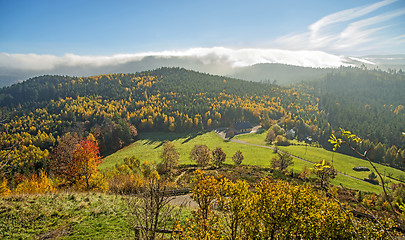 Image showing View to the atumnal painted forest of the Vosges, Alsace, France