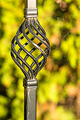 Image showing iron ornament with spider web