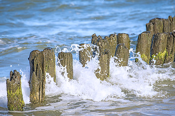 Image showing Baltic Sea with groyens and surf