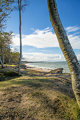 Image showing Baltic Sea in Poland, beach of Orzechowo, Poland